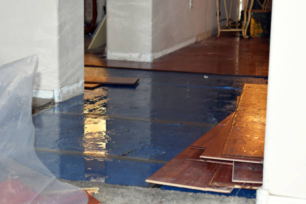 Professional Burst Pipe Cleanup technician working in Lake Dallas, TX
